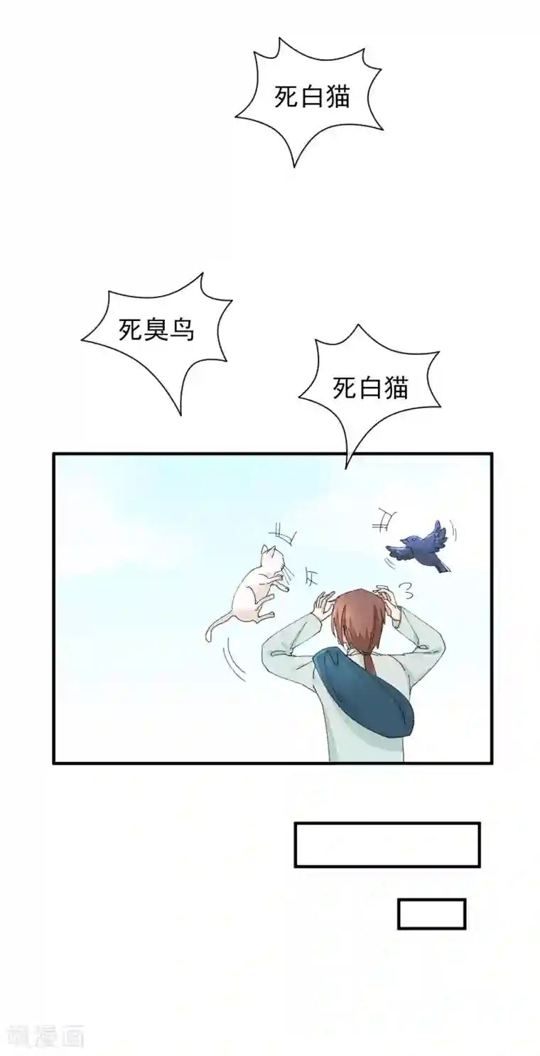 红妆异事最终话 绝美戏子