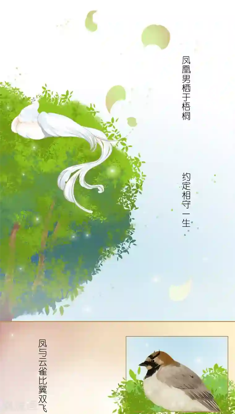 情深不抵陈年恨番外1