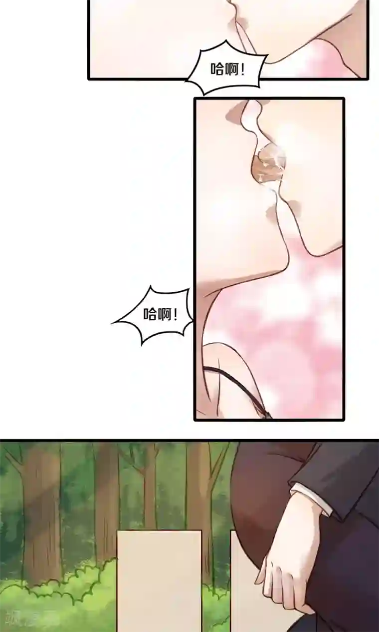 一顾倾心第15话