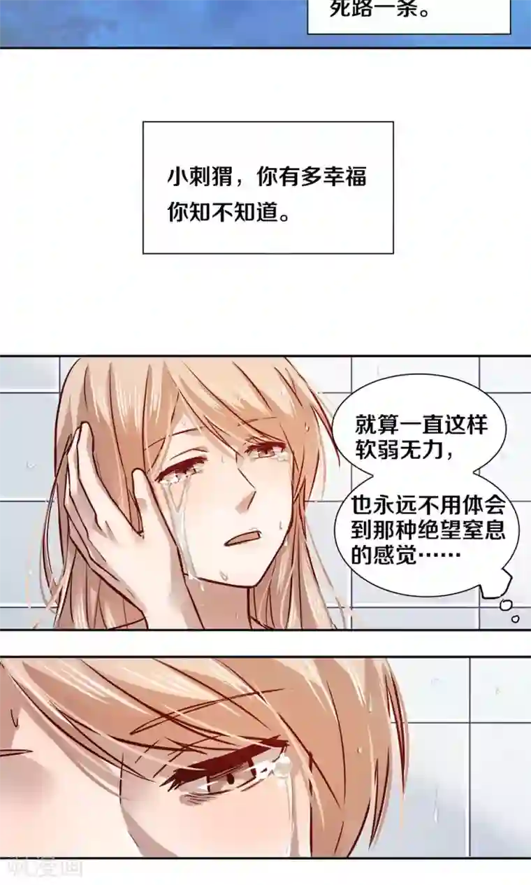 一顾倾心第17话