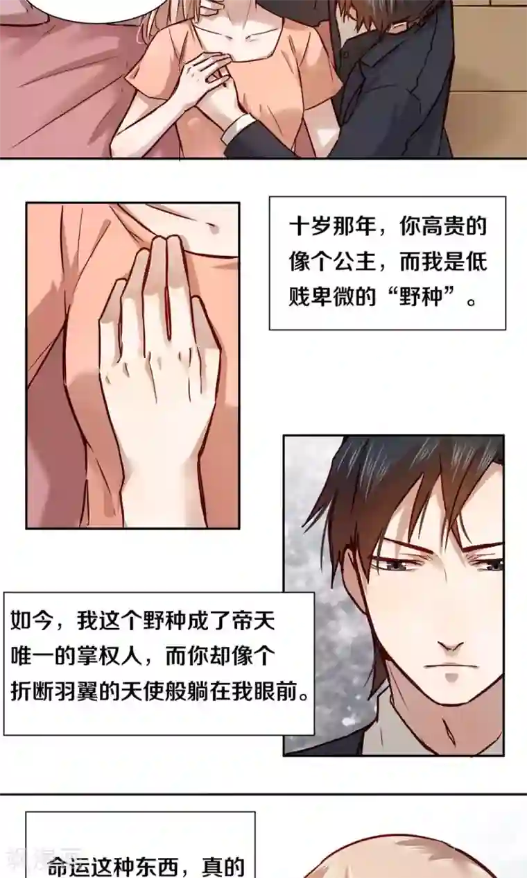 一顾倾心第17话