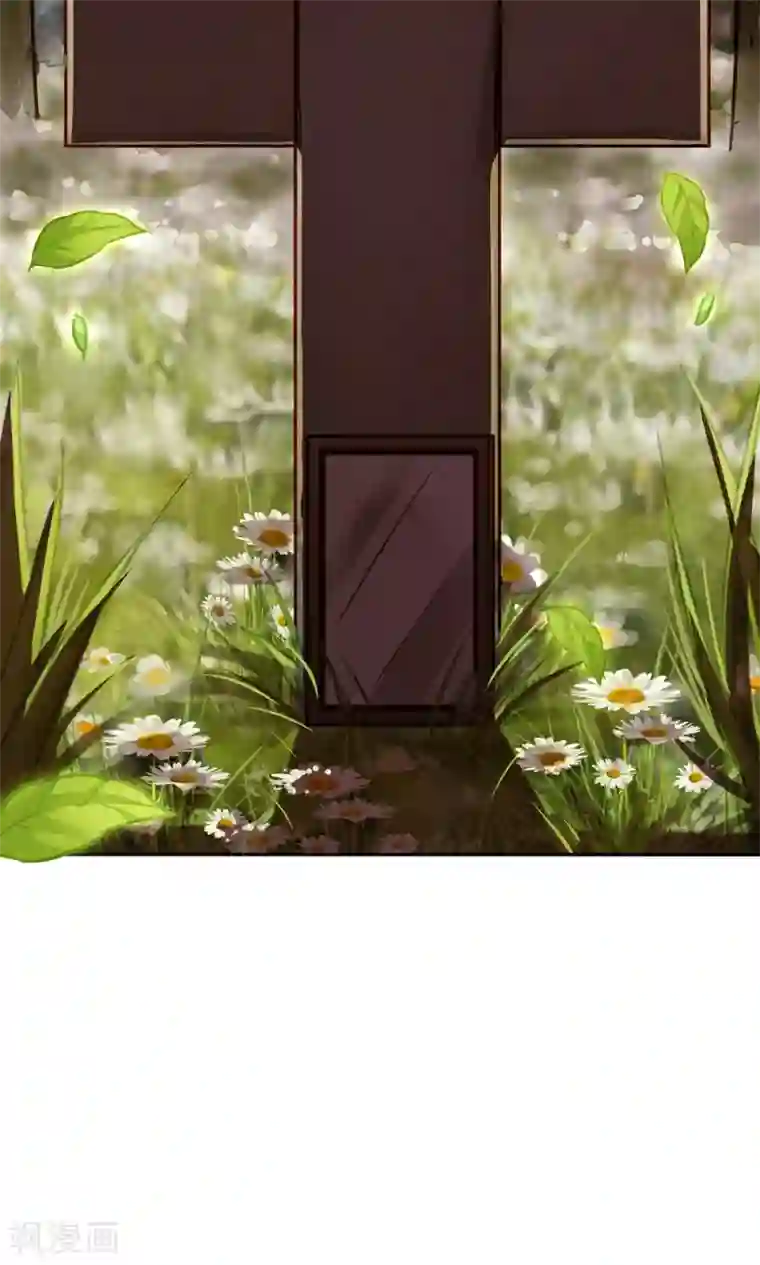 一顾倾心第40话