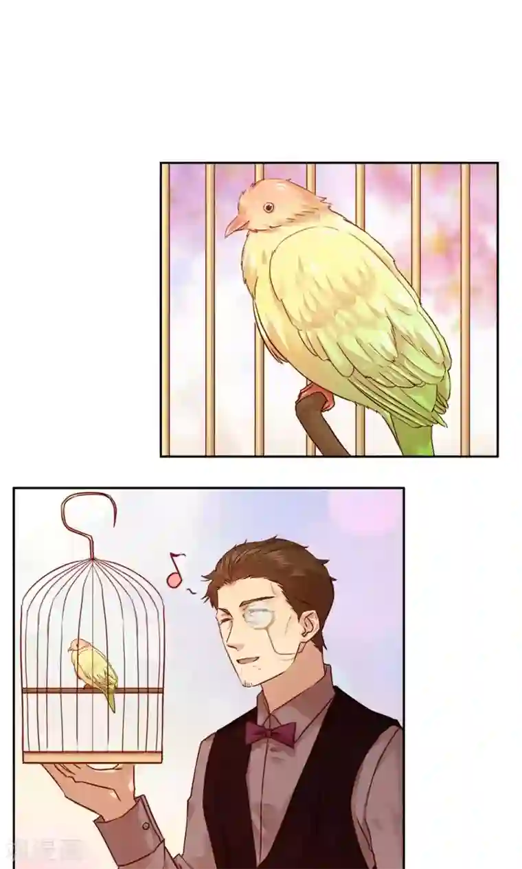 一顾倾心第46话