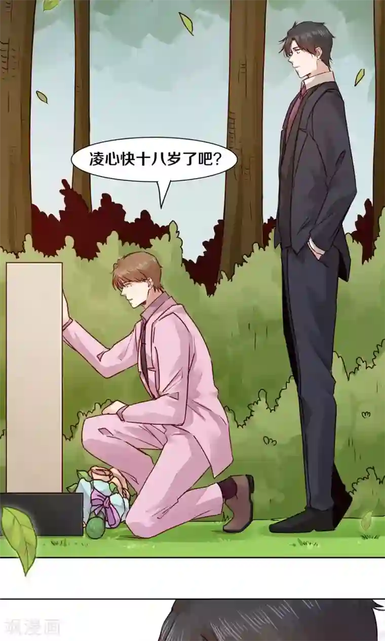 一顾倾心第47话