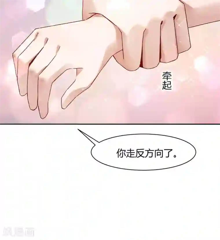 一顾倾心第61话