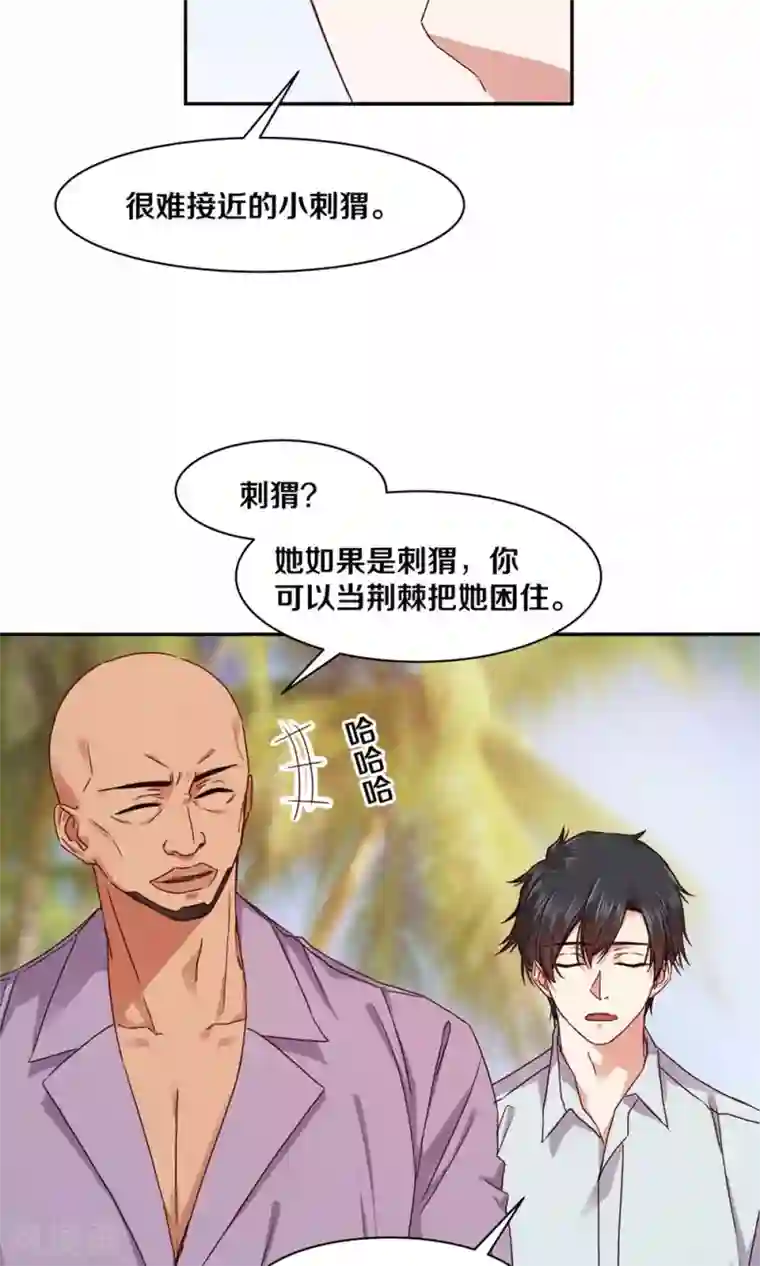 一顾倾心第88话