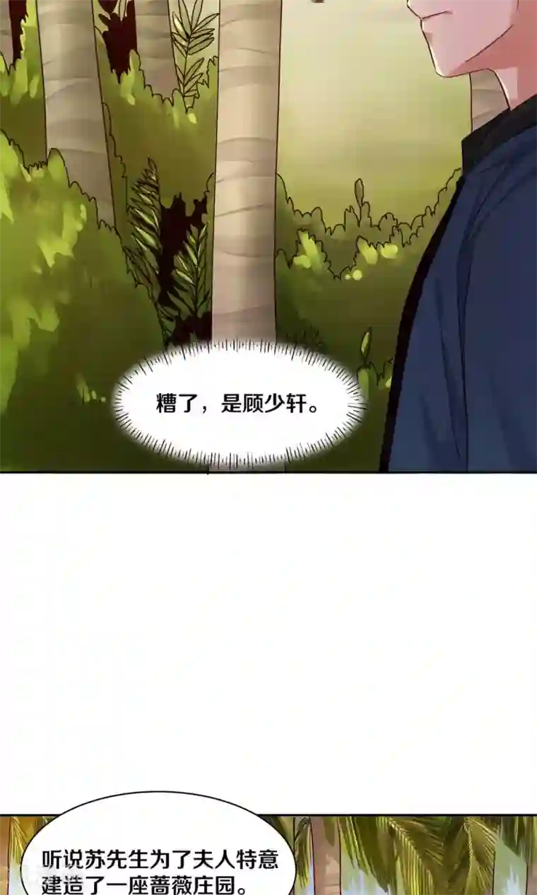 一顾倾心第88话