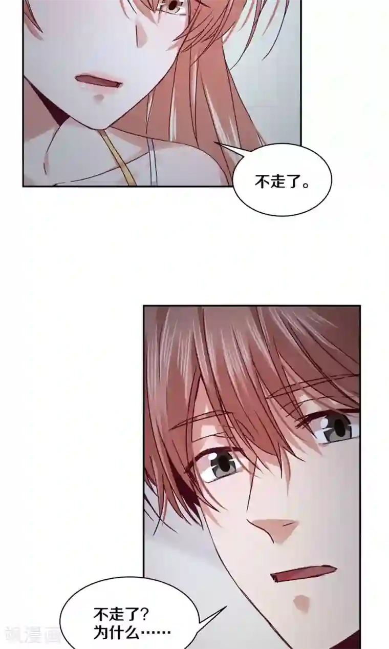 一顾倾心第92话