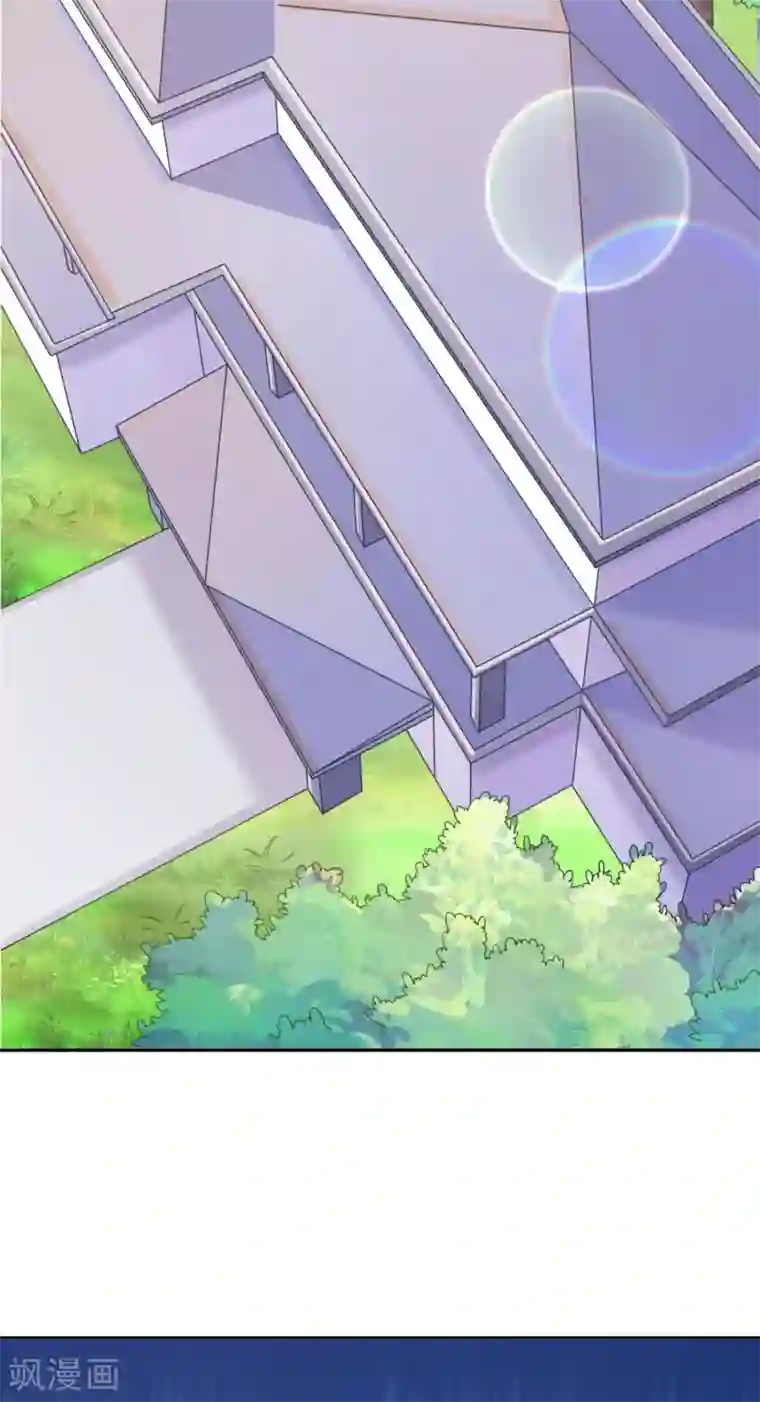 邪道总裁的专属女团序章 风靡国内的选秀