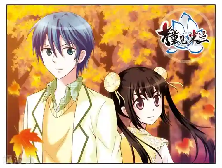 撞见木兰第38话