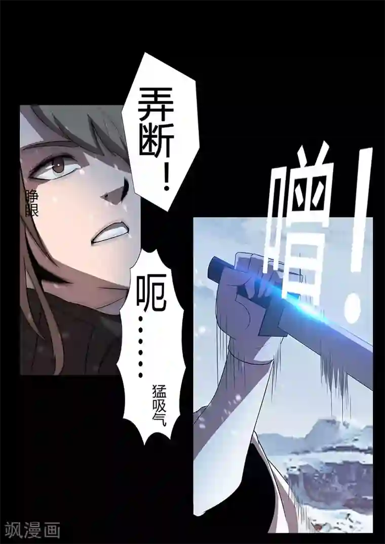 星元孤儿第127话 支援