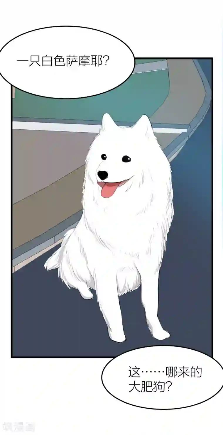 百日恋爱计划第31话 接近真相了嘛？