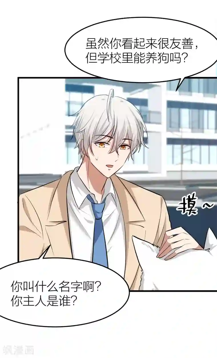 百日恋爱计划第31话 接近真相了嘛？