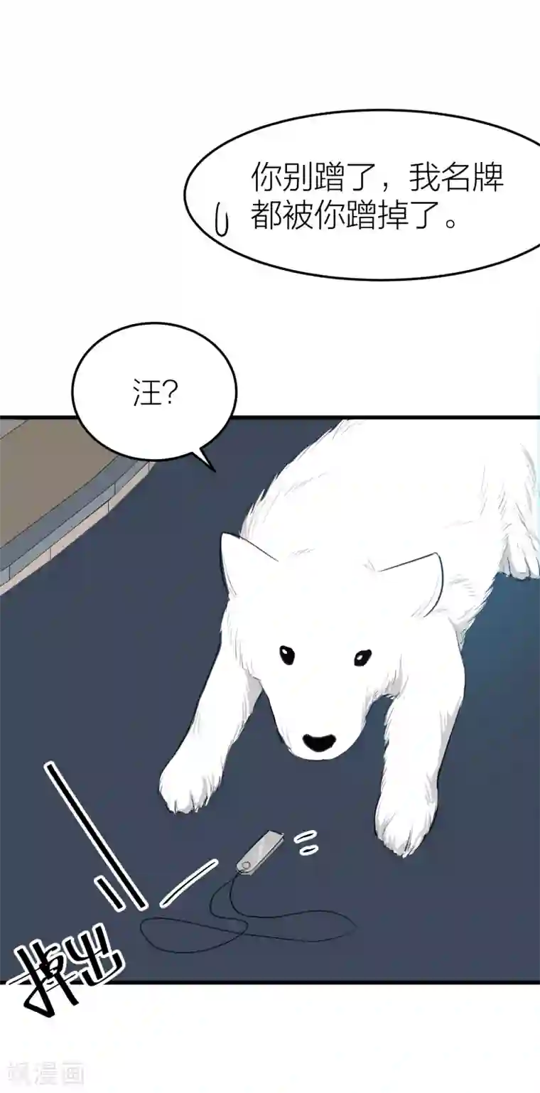 百日恋爱计划第31话 接近真相了嘛？