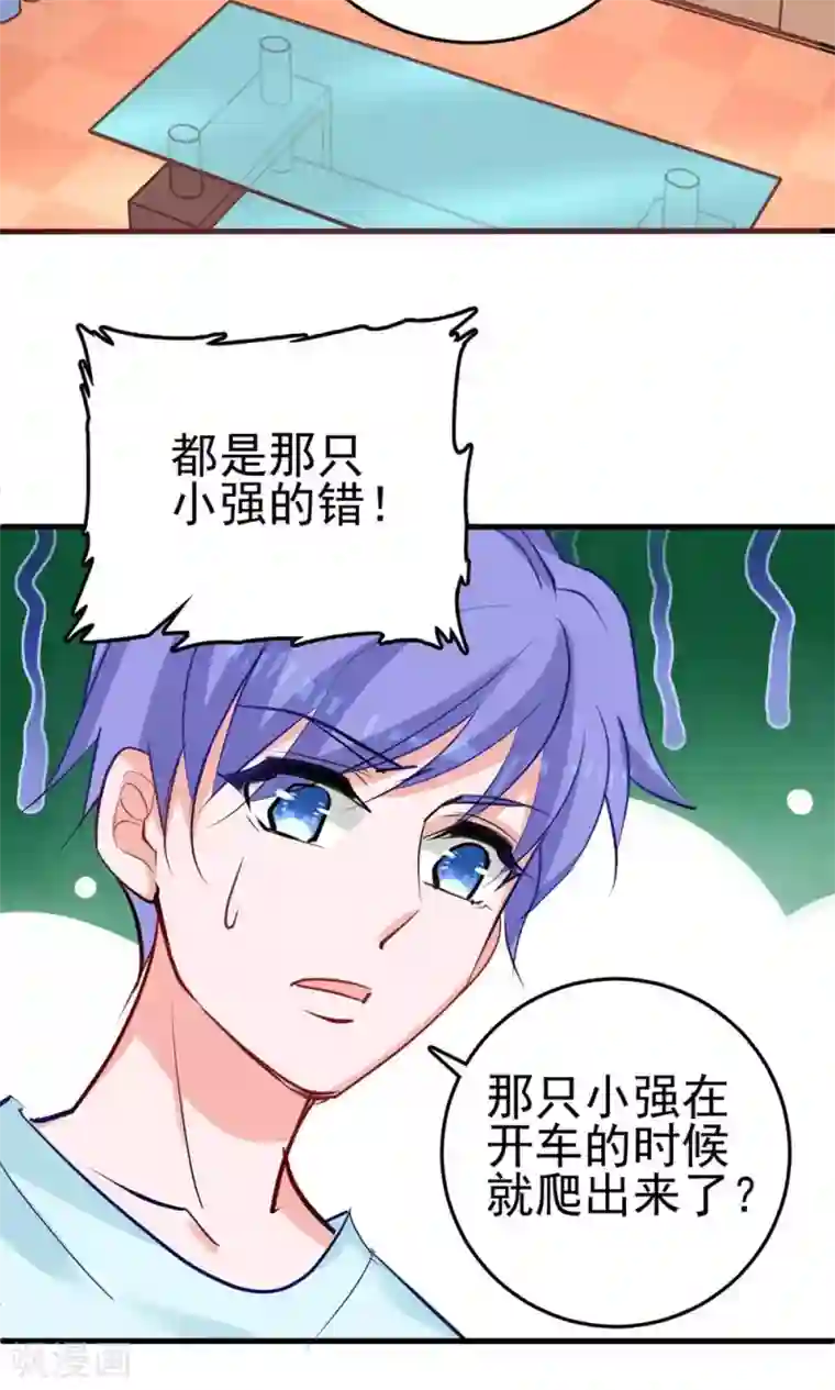 合租蜜籍，总裁宠上门第12话 被殃及的小螺狮