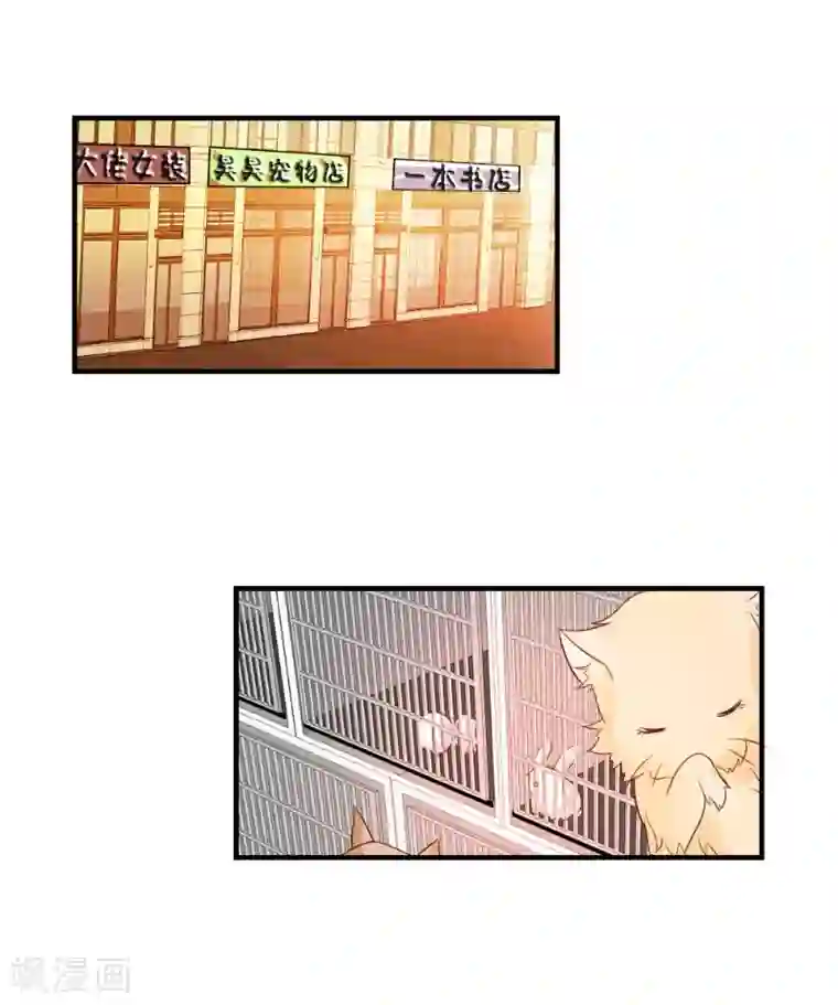 酷总裁的独家溺爱第40话