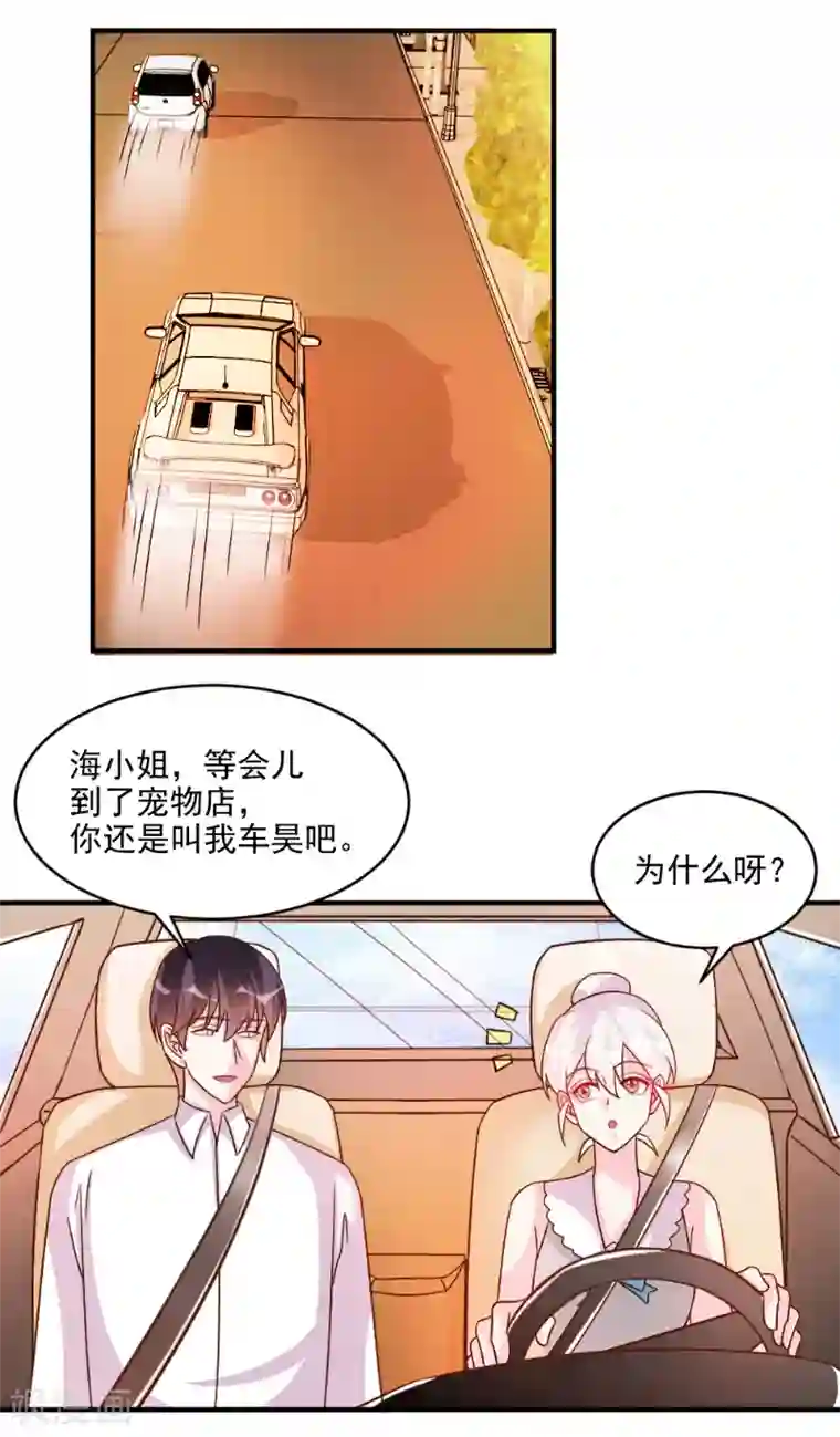 酷总裁的独家溺爱第53话