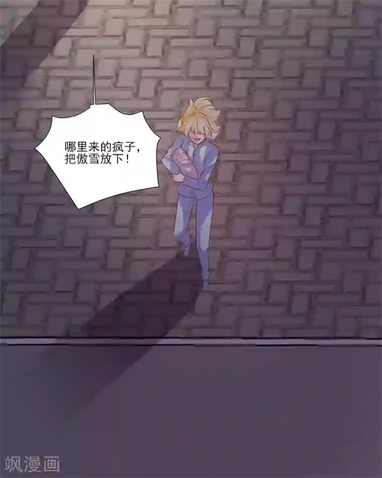 酷总裁的独家溺爱最终话