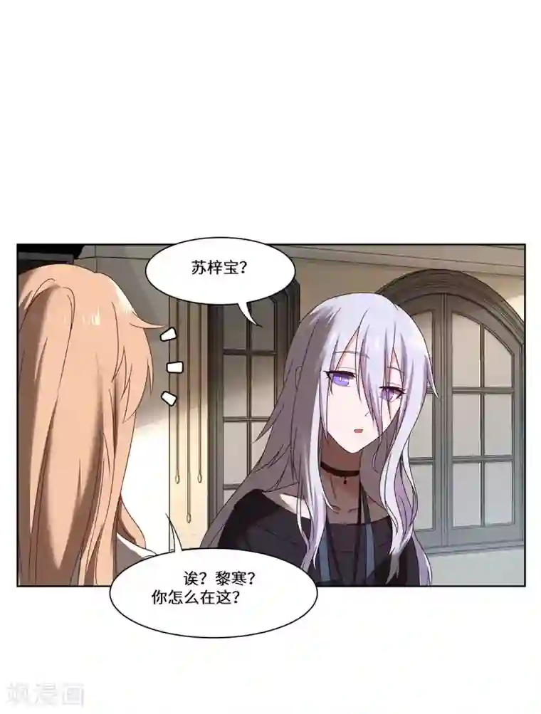 重生贵妻之华丽的复仇第44话 再遇沈奚