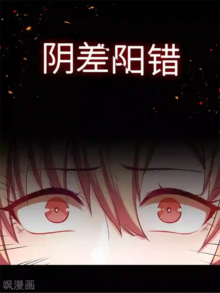 重生贵妻之华丽的复仇预告