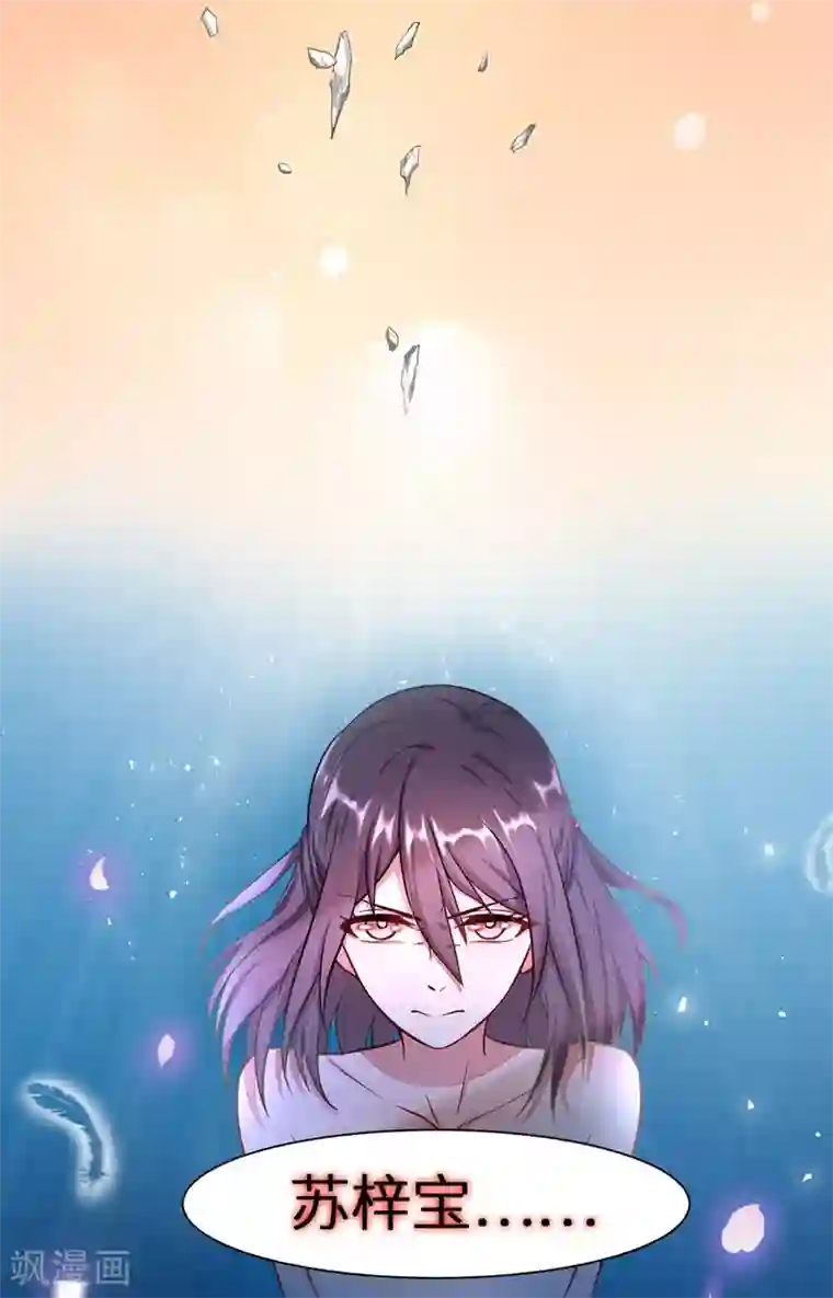 重生贵妻之华丽的复仇预告