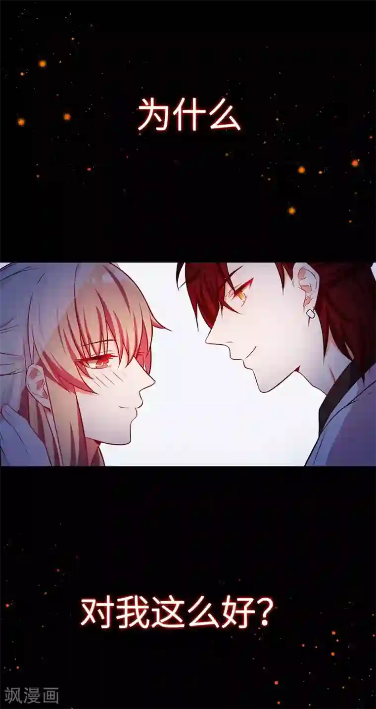 重生贵妻之华丽的复仇预告