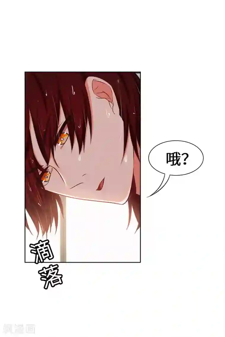 重生贵妻之华丽的复仇第21话 有正事商量