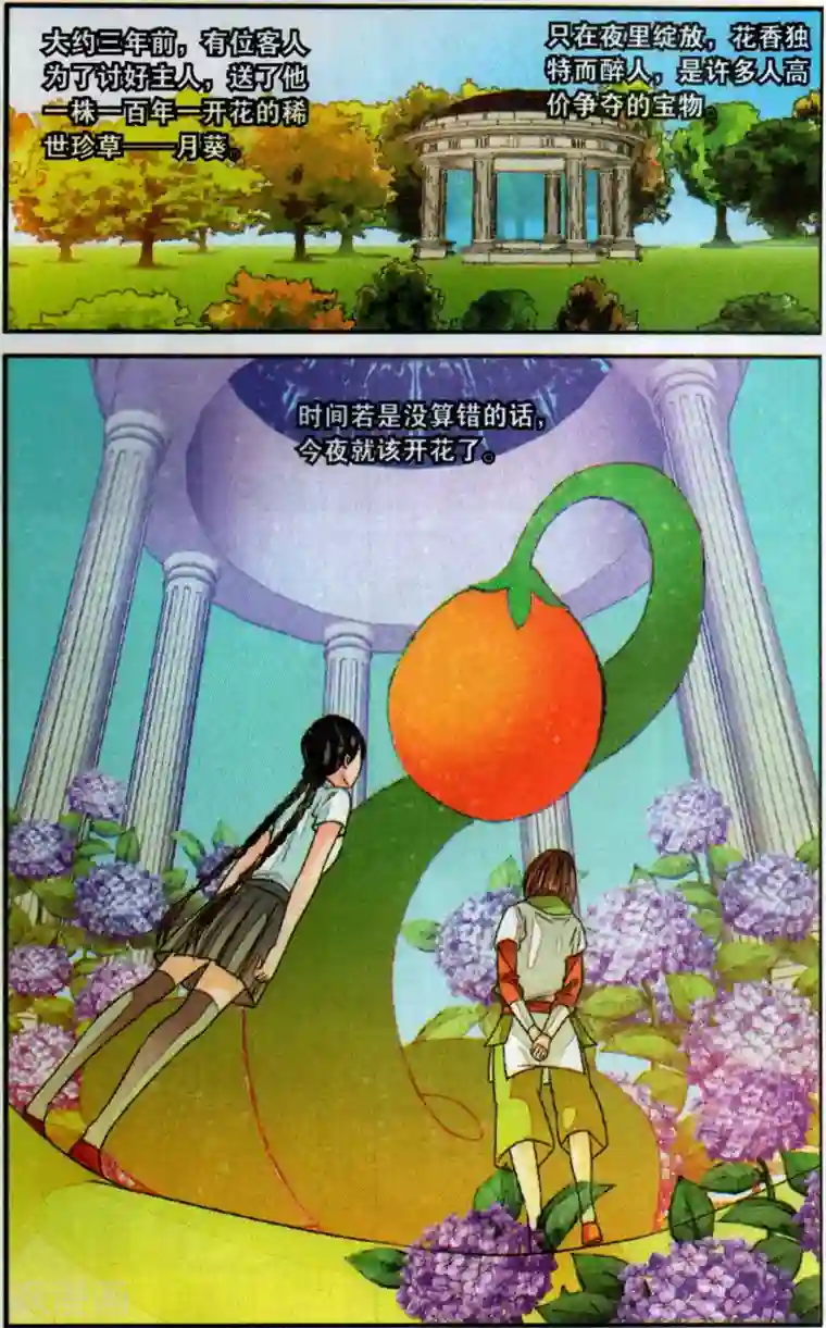万里晴川第112话 月葵1