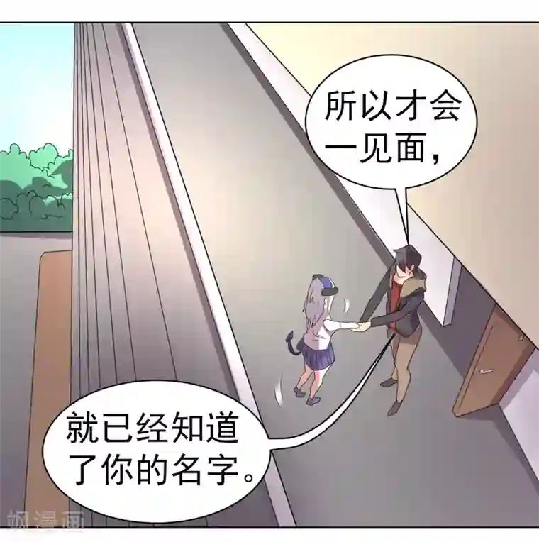 众神的女婿第53话