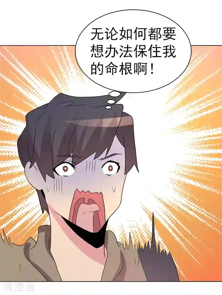 众神的女婿第74话