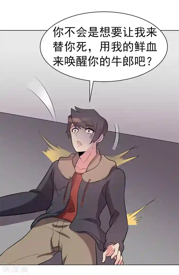 众神的女婿第87话