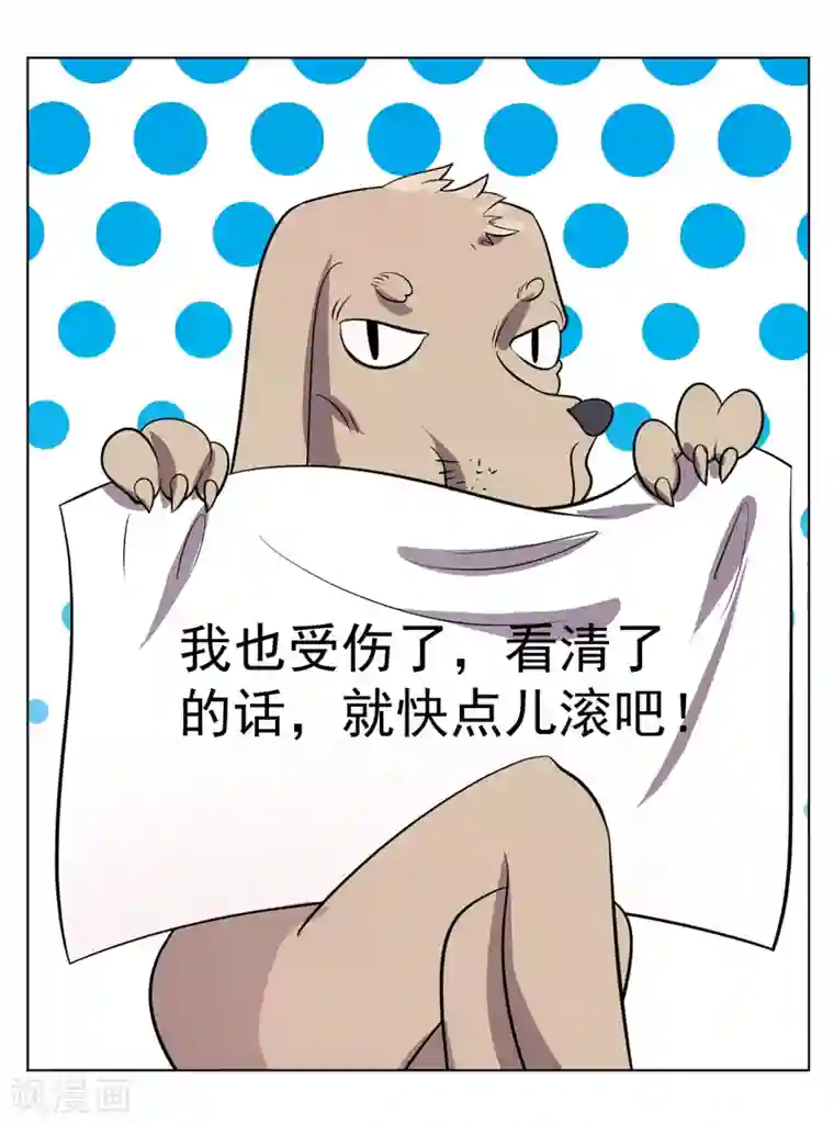 众神的女婿第92话