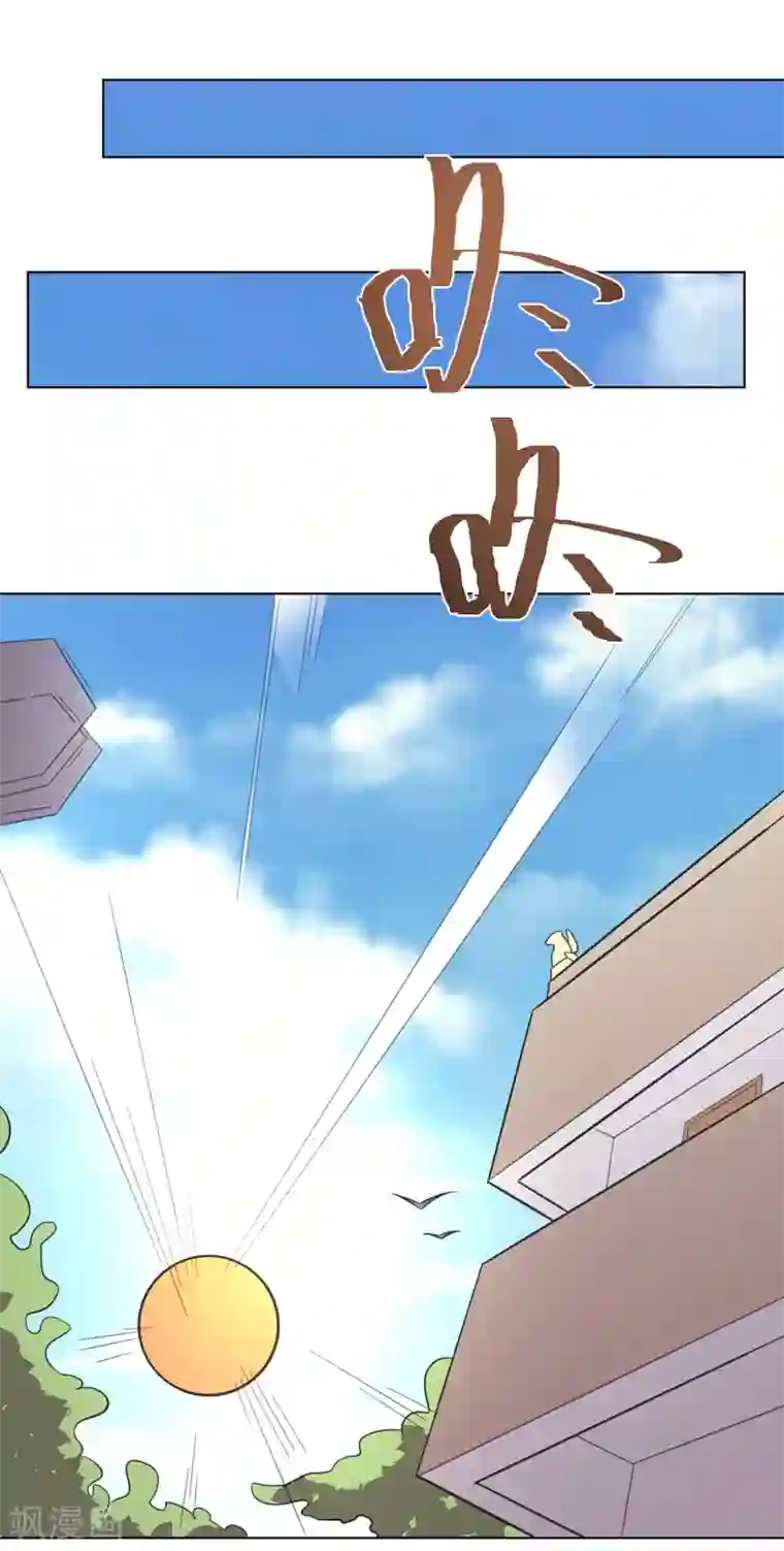 柳岩拍过的三㚫视频第102话