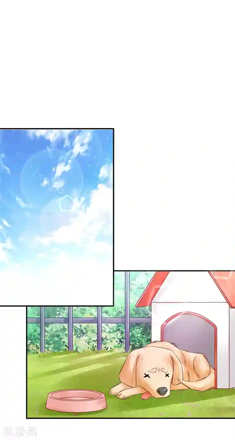 恶魔霸爱第3话 绝不低头