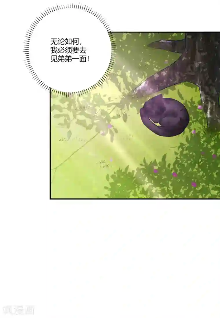 恶魔霸爱第15话 借钱