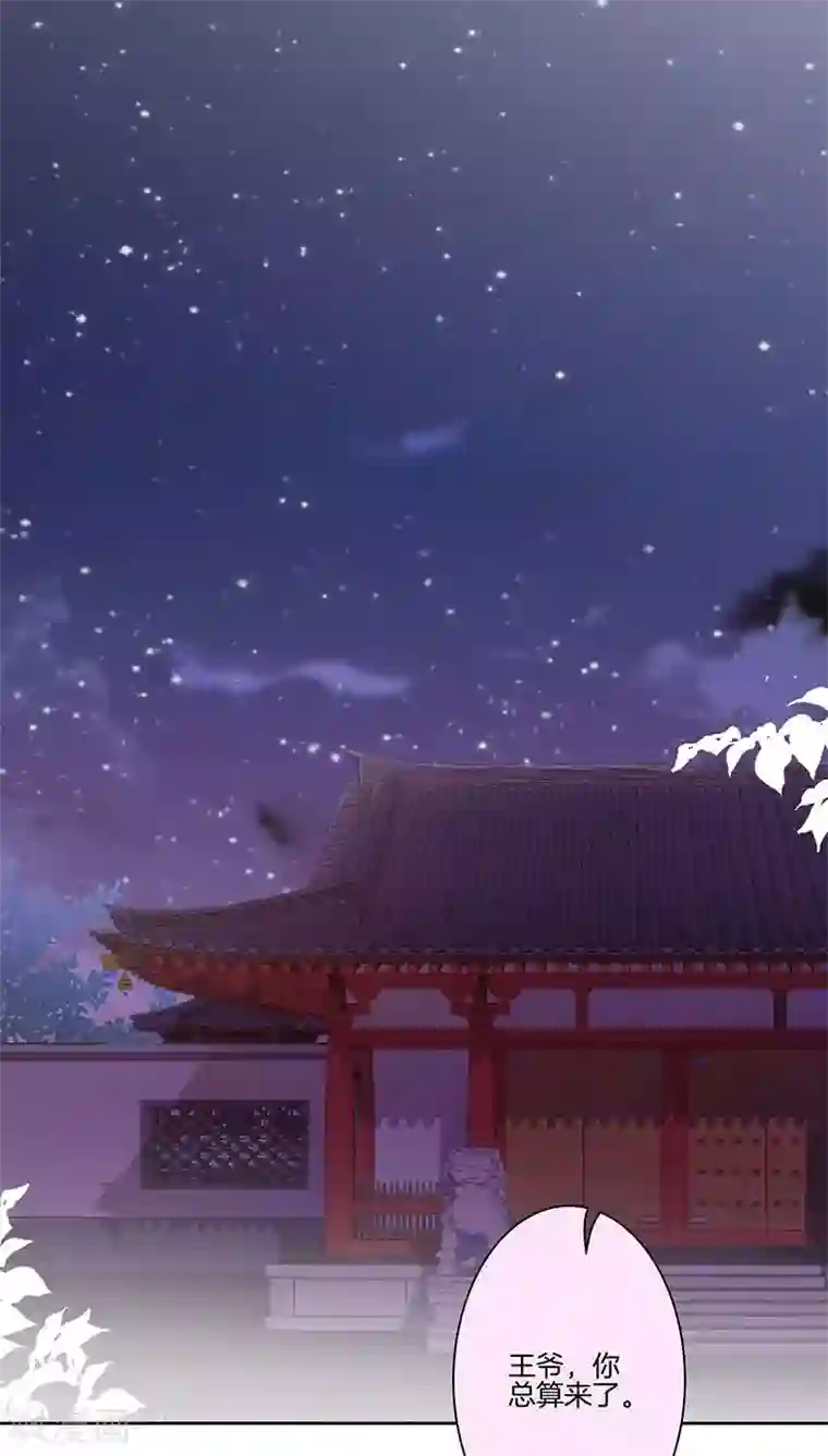 王爷你讨厌第43话