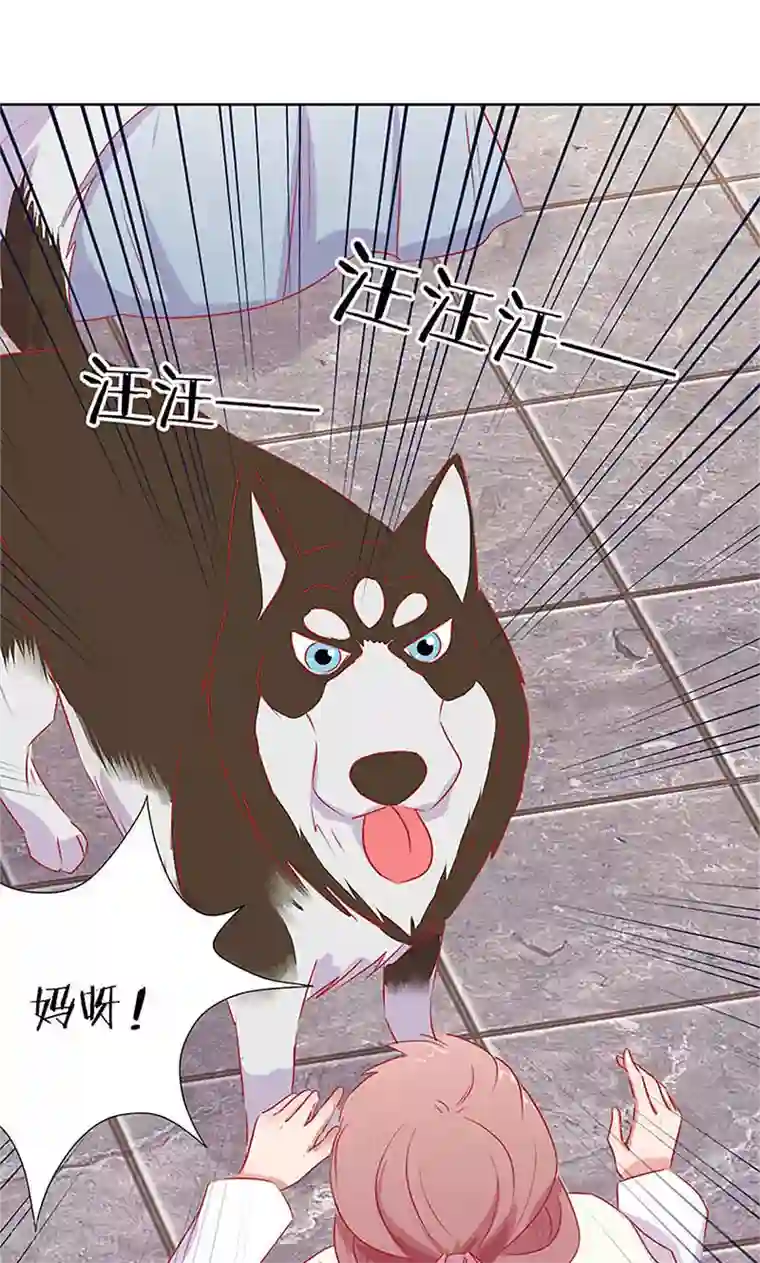 王爷你讨厌第66话