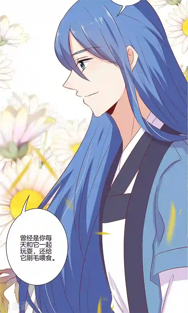 王爷你讨厌第71话