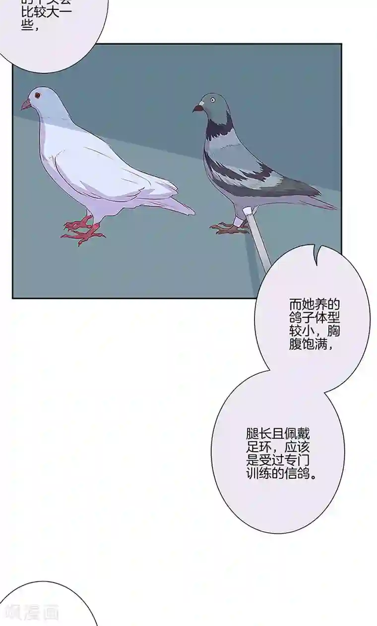 王爷你讨厌第77话