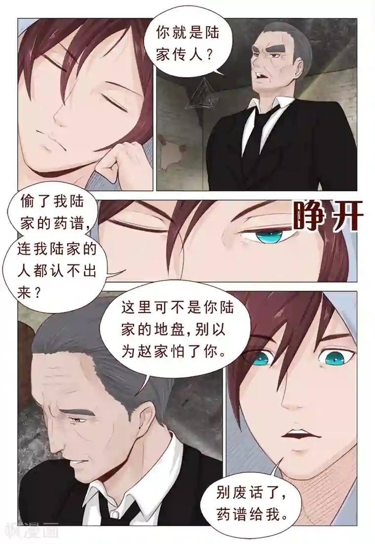 妙手天医在都市第10话 陆家传人不可小觑