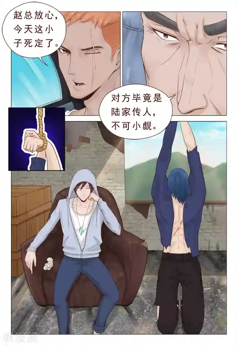 妙手天医在都市第10话 陆家传人不可小觑