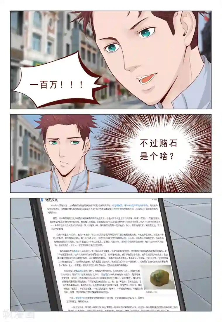 妙手天医在都市第20话 赌石