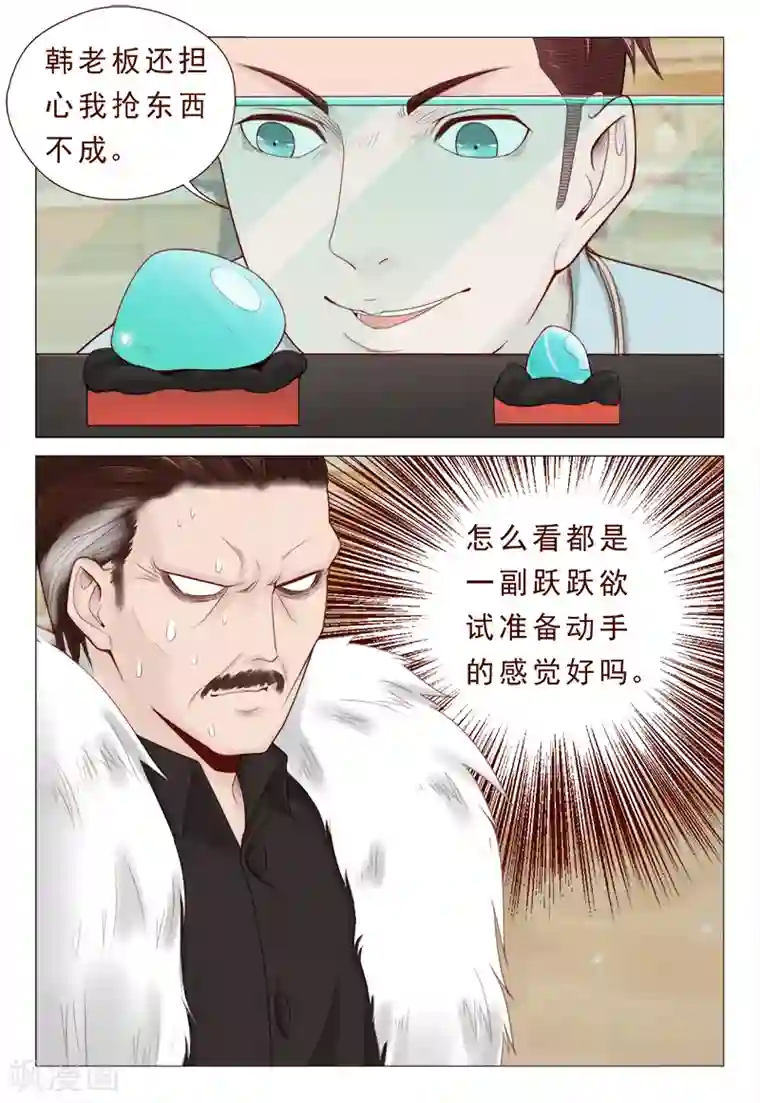 妙手天医在都市第21话 精心准备的假玉石