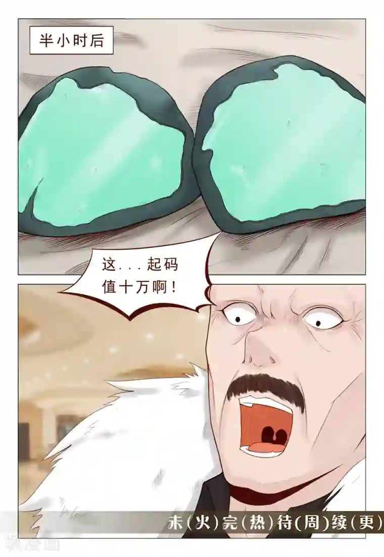 妙手天医在都市第21话 精心准备的假玉石