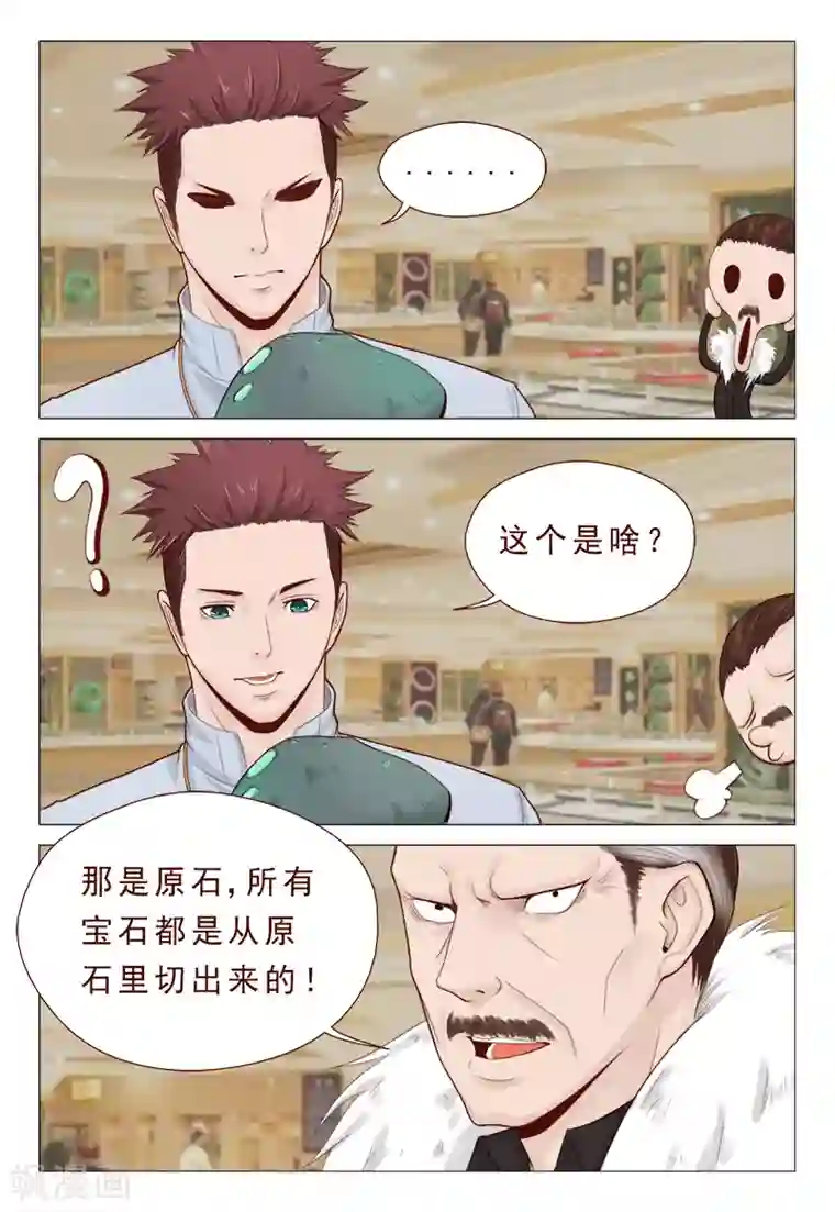 妙手天医在都市第21话 精心准备的假玉石