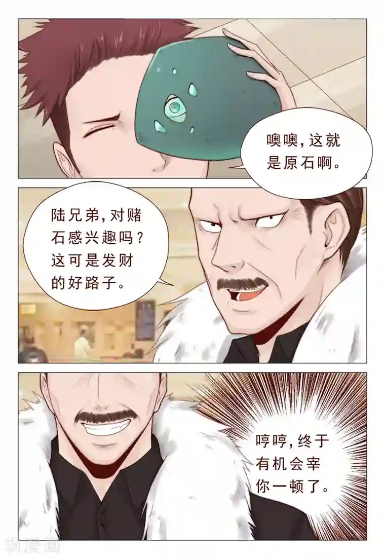 妙手天医在都市第21话 精心准备的假玉石