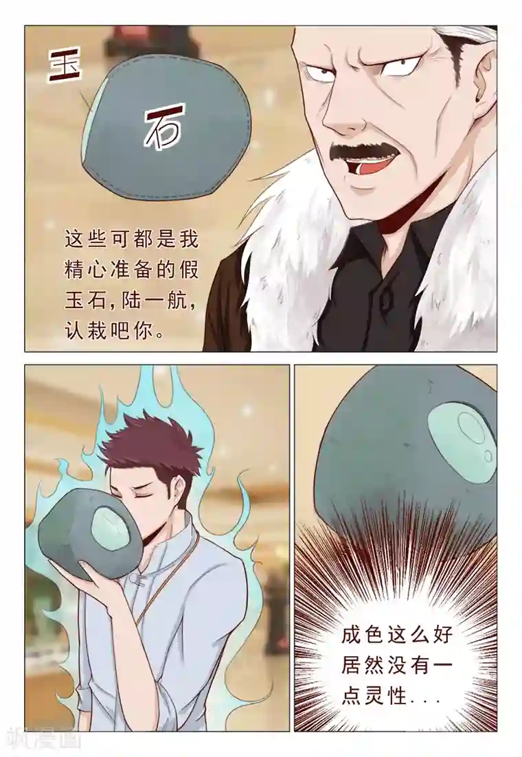 妙手天医在都市第21话 精心准备的假玉石