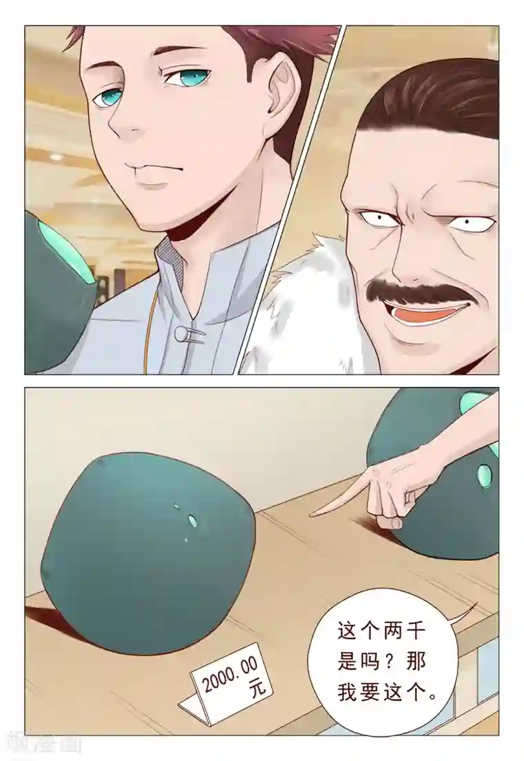 妙手天医在都市第21话 精心准备的假玉石