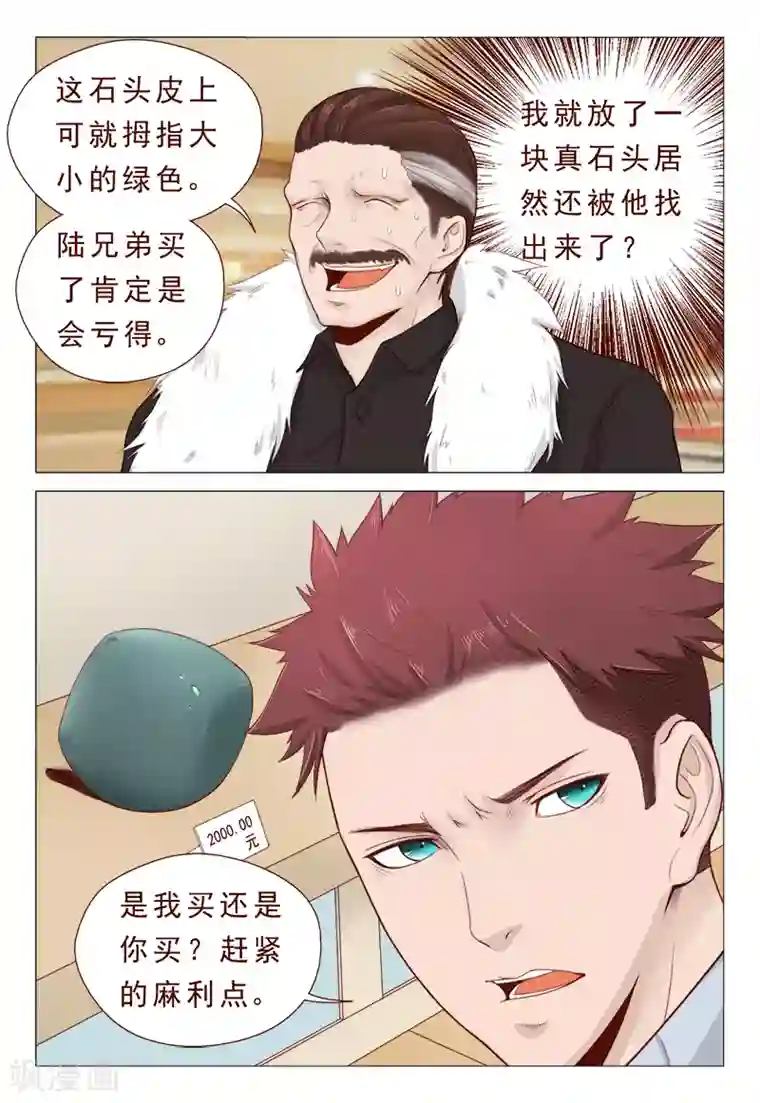 妙手天医在都市第21话 精心准备的假玉石