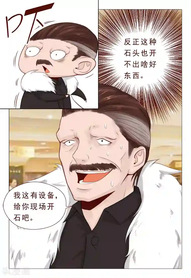 妙手天医在都市第21话 精心准备的假玉石